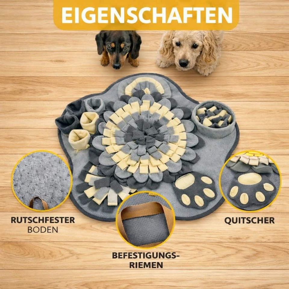 Schnüffelteppich für Hunde – fördert die Nase, reduziert Stress & sorgt für spielerische Auslastung